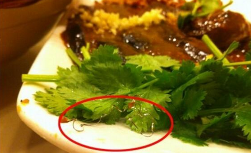 食客在餐廳吃到鋼絲，餐廳被判賠償食客206萬，并罰款686萬