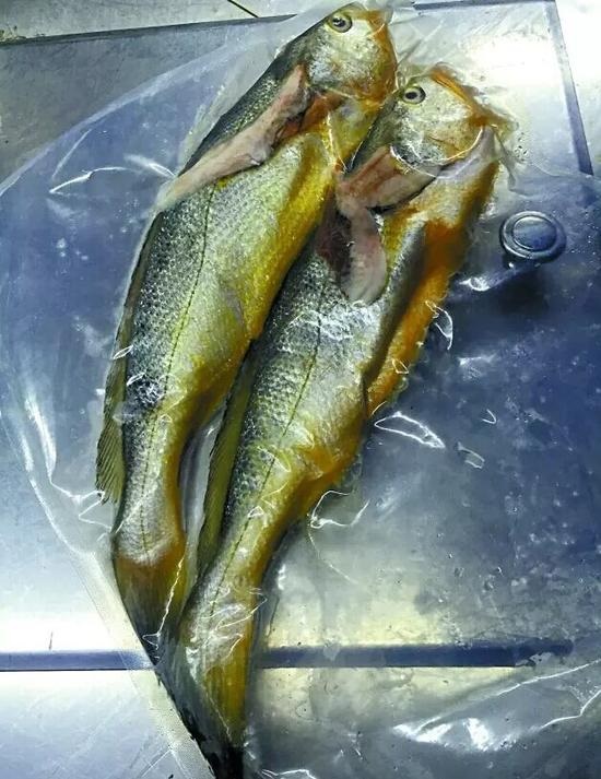 兩條小黃魚賣4628元：沒有菜牌，也沒有價格公示