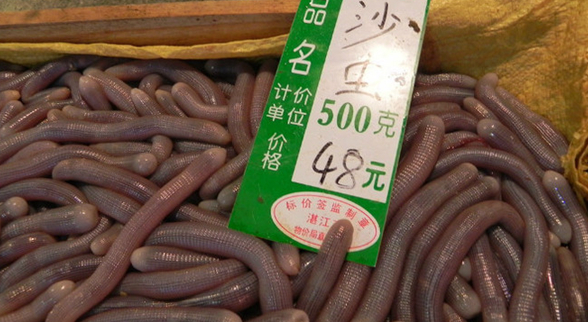 ?？谝徊蛷d沙蟲被食客質(zhì)疑不干凈 食藥監(jiān)：沒毛病