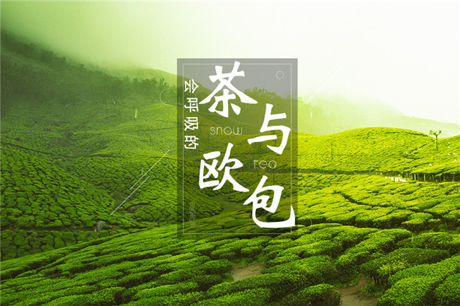 9個月開600家店，漫雪的茶憑啥攻占全國市場？|餐飲界