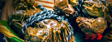 “秋風(fēng)響，蟹腳癢”，順豐同城急送推出大閘蟹專送服務(wù)
