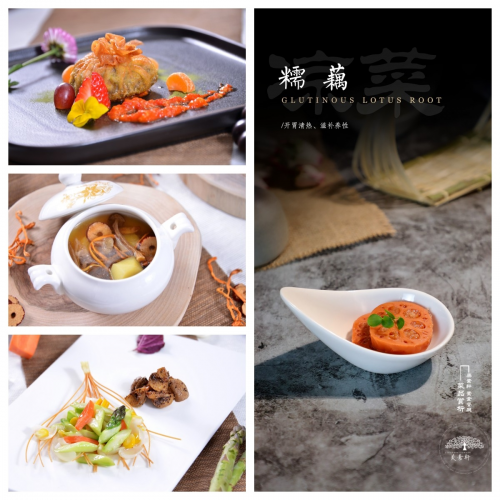 素食革命：如何通過純素飲食打造健康身體？美素軒為你揭秘|餐飲界