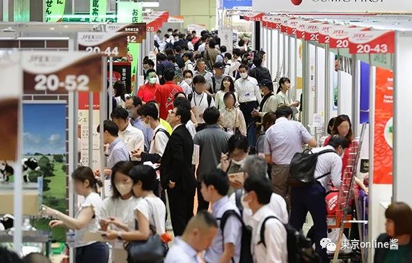 江西天凱樂(lè)首秀日本國(guó)際食品展，椰子灰冰淇淋榮獲JFEX AWARDS金獎(jiǎng)！